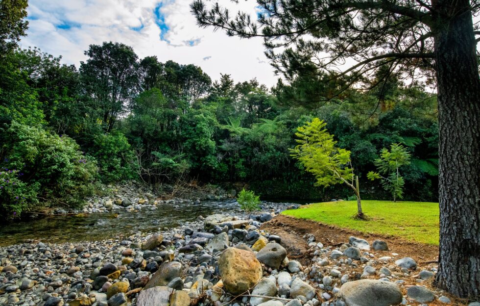 Gallery Sapphire Springs