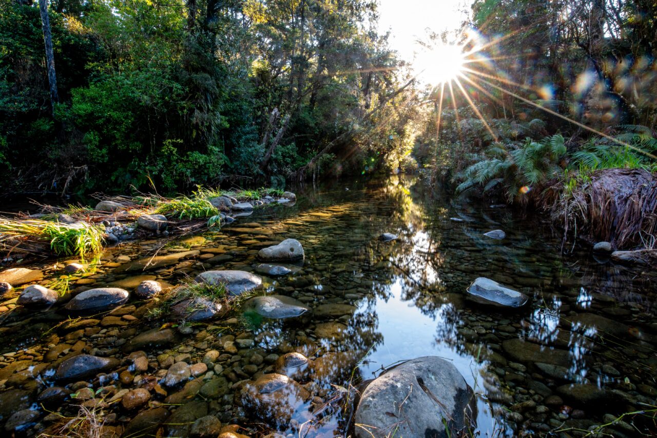 Gallery Sapphire Springs