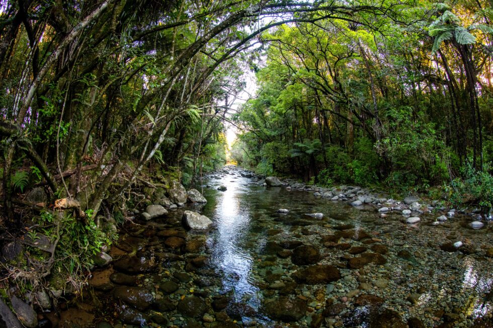 Gallery Sapphire Springs