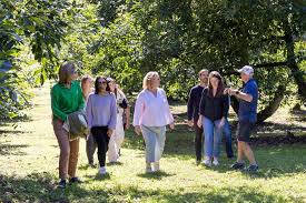 Katikati Avocado Tour