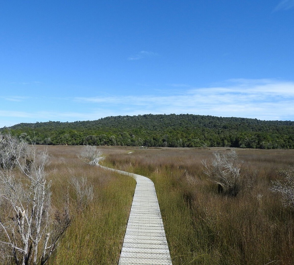 Katikati Bird Walk<br />
